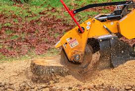 Best Lawn Renovation and Restoration  in Fort Lee, VA