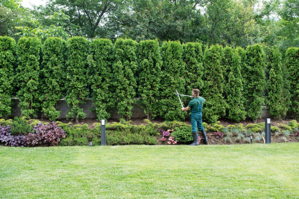 Best Lawn Drainage Solutions  in Fort Lee, VA