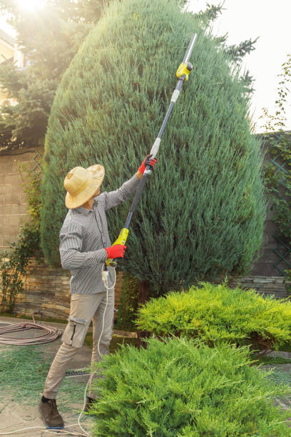Best Pest Control for Lawns  in Fort Lee, VA